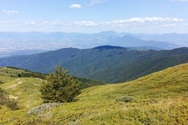 Bulgaristan 'ın Blagoevgrad bölgesindeki Belasitsa Dağı' nın şaşırtıcı yaz manzarası