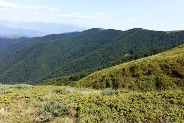 Bulgaristan 'ın Blagoevgrad bölgesindeki Belasitsa Dağı' nın şaşırtıcı yaz manzarası