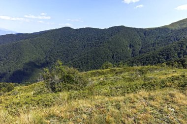 Bulgaristan 'ın Blagoevgrad bölgesindeki Belasitsa Dağı' nın şaşırtıcı yaz manzarası