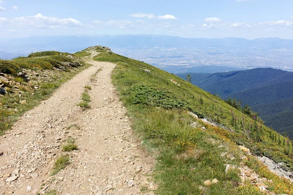 Bulgaristan 'ın Blagoevgrad bölgesindeki Belasitsa Dağı' nın şaşırtıcı yaz manzarası