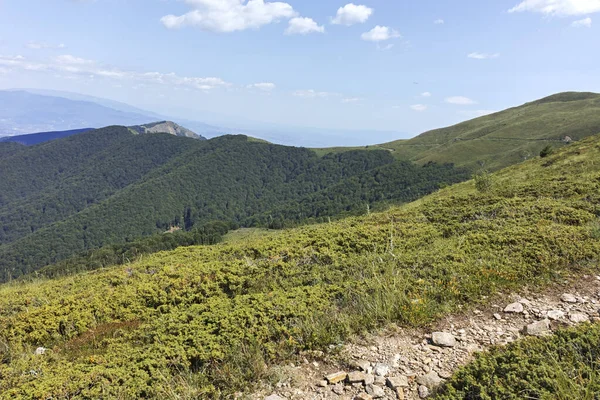 Amazing Summer Landscape Belasitsa Mountain Blagoevgrad Region Bulgaria — Foto de Stock