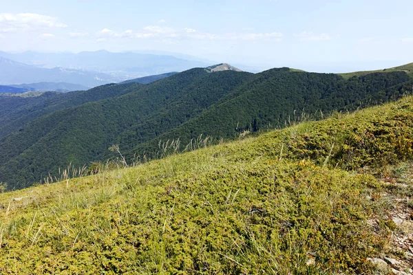 Amazing Summer Landscape Belasitsa Mountain Blagoevgrad Region Bulgaria — Zdjęcie stockowe