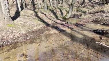 Bulgaristan 'ın Sofya Şehir Bölgesi, Vitosha Dağı' nın muhteşem manzarası