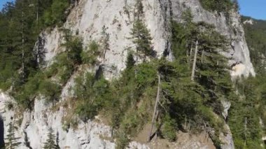 Bulgaristan 'ın Smolyan Bölgesi, Rodop Dağları' ndaki Trigrad Boğazı 'nın hava manzarası