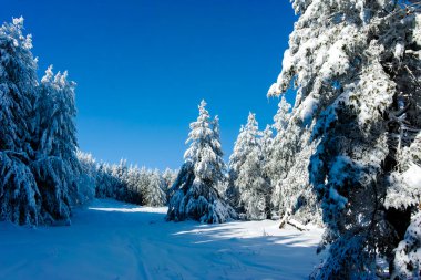 Bulgaristan 'ın Sofya Şehir Bölgesi, Vitosha Dağı' nın İnanılmaz Kış manzarası