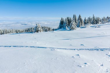 Bulgaristan 'ın Sofya Şehir Bölgesi, Vitosha Dağı' nın İnanılmaz Kış manzarası