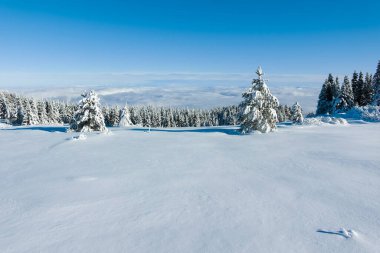 Bulgaristan 'ın Sofya Şehir Bölgesi, Vitosha Dağı' nın İnanılmaz Kış manzarası