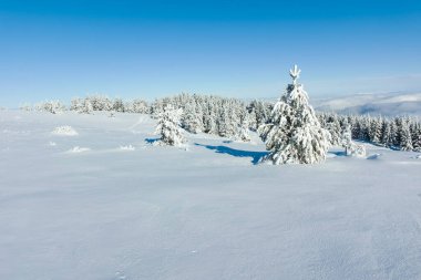 Bulgaristan 'ın Sofya Şehir Bölgesi, Vitosha Dağı' nın İnanılmaz Kış manzarası