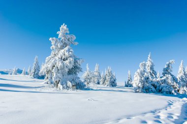 Bulgaristan 'ın Sofya Şehir Bölgesi, Vitosha Dağı' nın İnanılmaz Kış manzarası