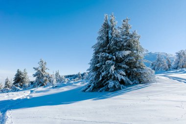 Bulgaristan 'ın Sofya Şehir Bölgesi, Vitosha Dağı' nın İnanılmaz Kış manzarası