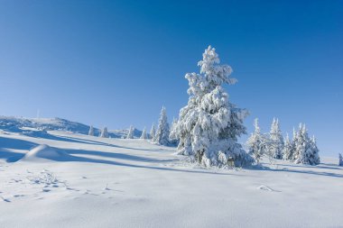 Bulgaristan 'ın Sofya Şehir Bölgesi, Vitosha Dağı' nın İnanılmaz Kış manzarası