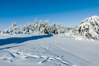Bulgaristan 'ın Sofya Şehir Bölgesi, Vitosha Dağı' nın İnanılmaz Kış manzarası