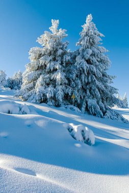 Bulgaristan 'ın Sofya Şehir Bölgesi, Vitosha Dağı' nın İnanılmaz Kış manzarası