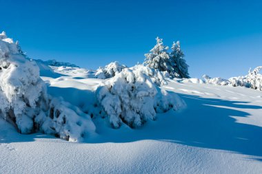 Bulgaristan 'ın Sofya Şehir Bölgesi, Vitosha Dağı' nın İnanılmaz Kış manzarası