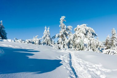 Bulgaristan 'ın Sofya Şehir Bölgesi, Vitosha Dağı' nın İnanılmaz Kış manzarası