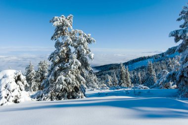 Bulgaristan 'ın Sofya Şehir Bölgesi, Vitosha Dağı' nın İnanılmaz Kış manzarası
