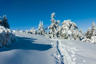 Bulgaristan 'ın Sofya Şehir Bölgesi, Vitosha Dağı' nın İnanılmaz Kış manzarası