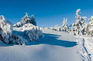 Bulgaristan 'ın Sofya Şehir Bölgesi, Vitosha Dağı' nın İnanılmaz Kış manzarası