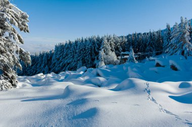 Bulgaristan 'ın Sofya Şehir Bölgesi, Vitosha Dağı' nın İnanılmaz Kış manzarası