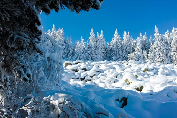 Geweldige Winter Landschap Van Vitosha Mountain Sofia City Region Bulgarije — Stockfoto