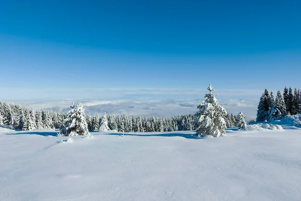 stock image Amazing Winter landscape of Vitosha Mountain, Sofia City Region, Bulgaria