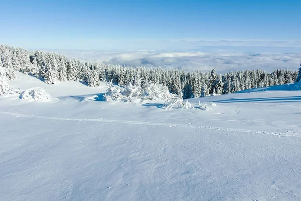 stock image Amazing Winter landscape of Vitosha Mountain, Sofia City Region, Bulgaria