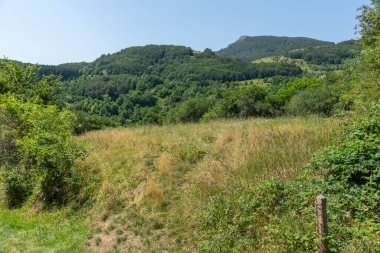 Bulgaristan 'ın Stara Planina Dağı' ndaki Iskar Nehri Boğazı 'nın inanılmaz manzarası