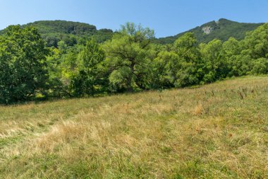 Bulgaristan 'ın Stara Planina Dağı' ndaki Iskar Nehri Boğazı 'nın inanılmaz manzarası