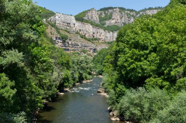Bulgaristan 'ın Stara Planina Dağı' ndaki Iskar Nehri Boğazı 'nın inanılmaz manzarası
