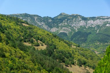 Bulgaristan 'ın Stara Planina Dağı' ndaki Iskar Nehri Boğazı 'nın inanılmaz manzarası