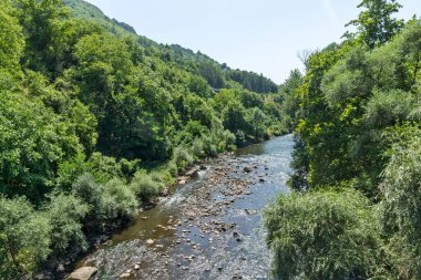 Bulgaristan 'ın Stara Planina Dağı' ndaki Iskar Nehri Boğazı 'nın inanılmaz manzarası