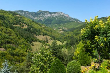 Bulgaristan 'ın Stara Planina Dağı' ndaki Iskar Nehri Boğazı 'nın inanılmaz manzarası