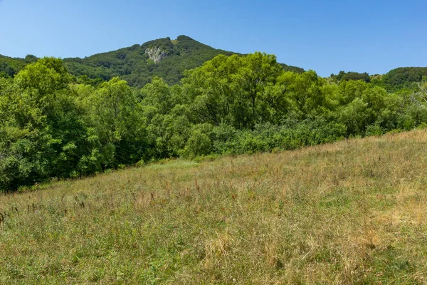 Prachtig Uitzicht Iskar River Gorge Bij Stara Planina Mountain Bulgarije — Stockfoto