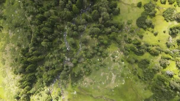 Удивительный Вид Воздуха Реку Беговица Горе Пирин Болгария — стоковое видео