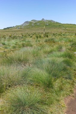 Bulgaristan 'ın Sofya Şehir Bölgesi' nin Kamen Del zirvesi yakınlarındaki Vitosha Dağı 'nın yaz manzarası
