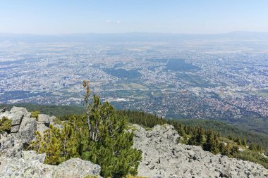 Bulgaristan 'ın Sofya Şehir Bölgesi' nin Kamen Del zirvesi yakınlarındaki Vitosha Dağı 'nın yaz manzarası