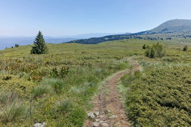 Bulgaristan 'ın Sofya Şehir Bölgesi' nin Kamen Del zirvesi yakınlarındaki Vitosha Dağı 'nın yaz manzarası