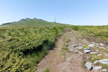Bulgaristan 'ın Sofya Şehir Bölgesi' nin Kamen Del zirvesi yakınlarındaki Vitosha Dağı 'nın yaz manzarası