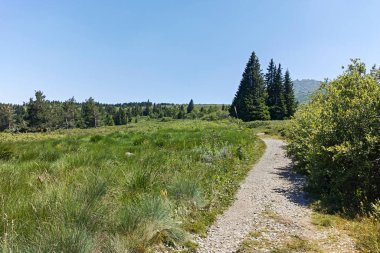 Bulgaristan 'ın Sofya Şehir Bölgesi' nin Kamen Del zirvesi yakınlarındaki Vitosha Dağı 'nın yaz manzarası