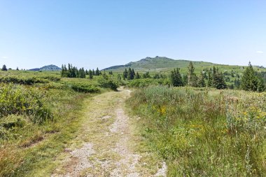 Bulgaristan 'ın Sofya Şehir Bölgesi' nin Kamen Del zirvesi yakınlarındaki Vitosha Dağı 'nın yaz manzarası