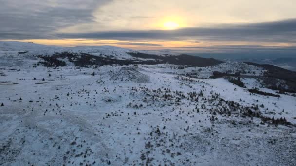Niesamowity Widok Lotu Ptaka Górę Vitosha Niedaleko Kamen Del Peak — Wideo stockowe