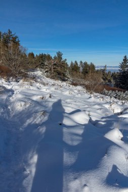 Bulgaristan 'ın Kamen del Peak kenti yakınlarındaki Vitosha Dağı' nın şaşırtıcı kış manzarası