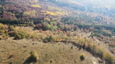 Bulgaristan 'ın Vitosha Dağı' nın İnanılmaz Sonbaharı