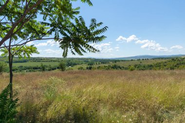 Bulgaristan 'ın Altın Panega Nehri boyunca Iskar Panega Geopark' ın inanılmaz manzarası