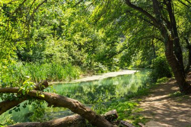 Bulgaristan 'ın Altın Panega Nehri boyunca Iskar Panega Geopark' ın inanılmaz manzarası