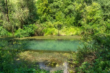 Bulgaristan 'ın Altın Panega Nehri boyunca Iskar Panega Geopark' ın inanılmaz manzarası