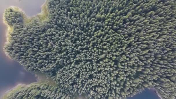 Aerial Summer View Shiroka Polyana Wide Meadow Reservoir Pazardzhik Region — Vídeo de Stock