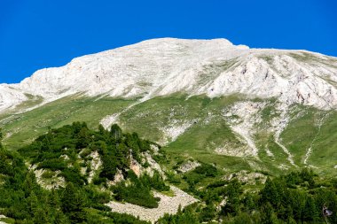 Bulgaristan 'ın Banderitsa Nehri yakınlarındaki Pirin Dağı' nın şaşırtıcı yaz manzarası