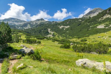 Bulgaristan 'ın Banderitsa Nehri yakınlarındaki Pirin Dağı' nın şaşırtıcı yaz manzarası