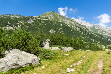 Bulgaristan 'ın Banderitsa Nehri yakınlarındaki Pirin Dağı' nın şaşırtıcı yaz manzarası